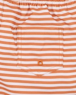 Harvey Stripe Boardshorts