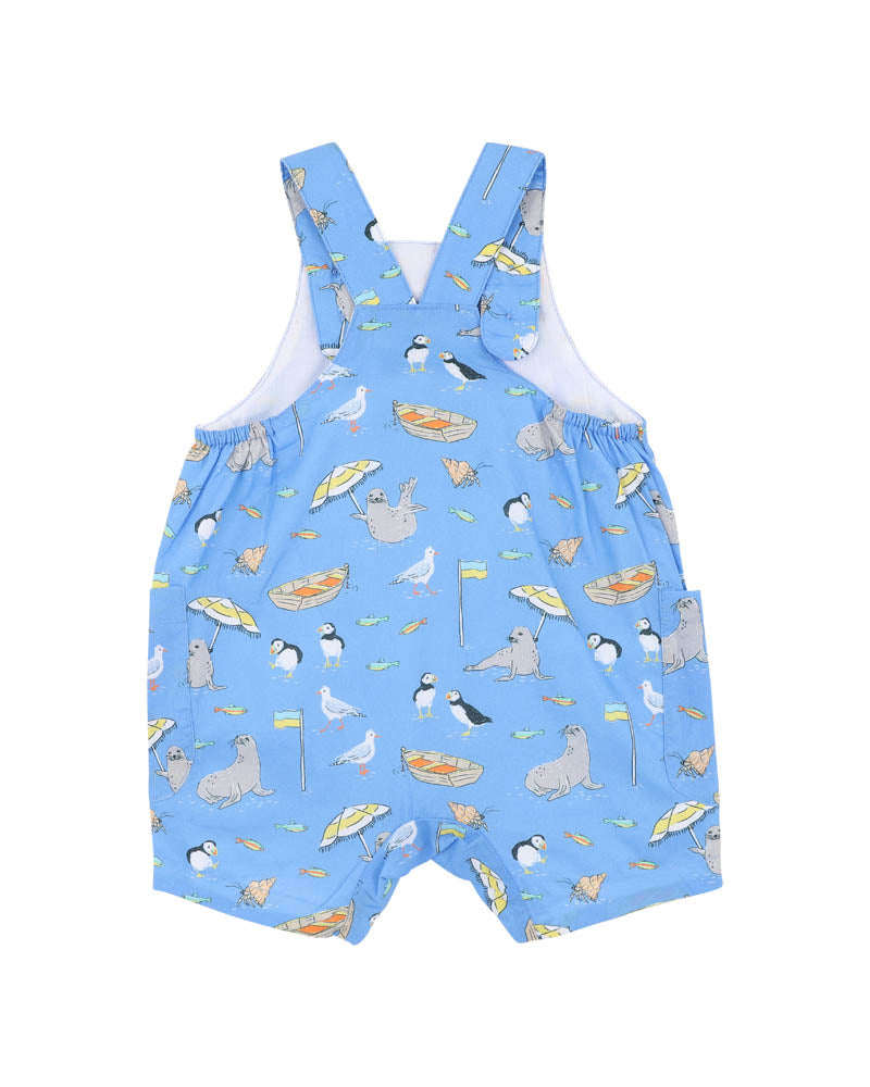 Conway Resort Overalls