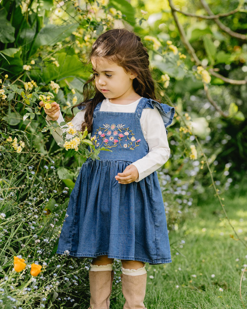 Wild Horses Denim Dress