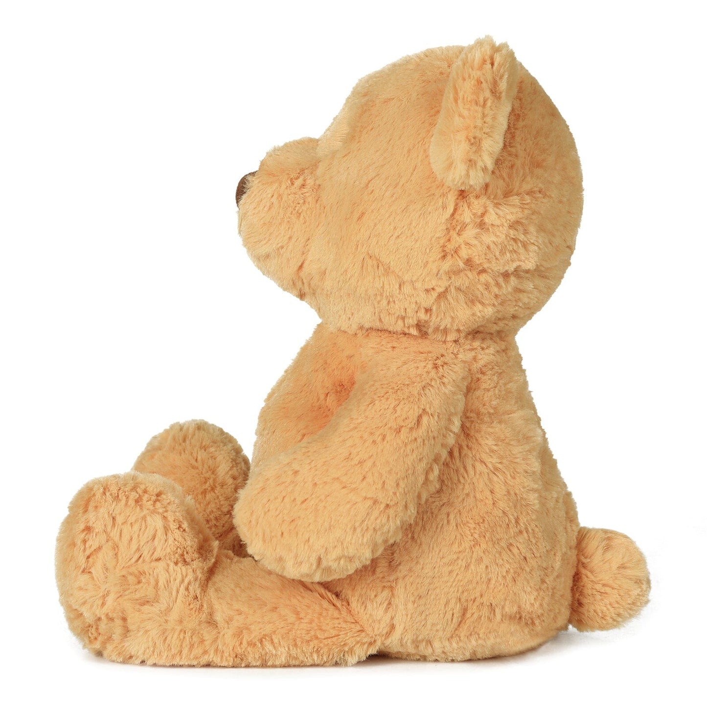 Honey Bear