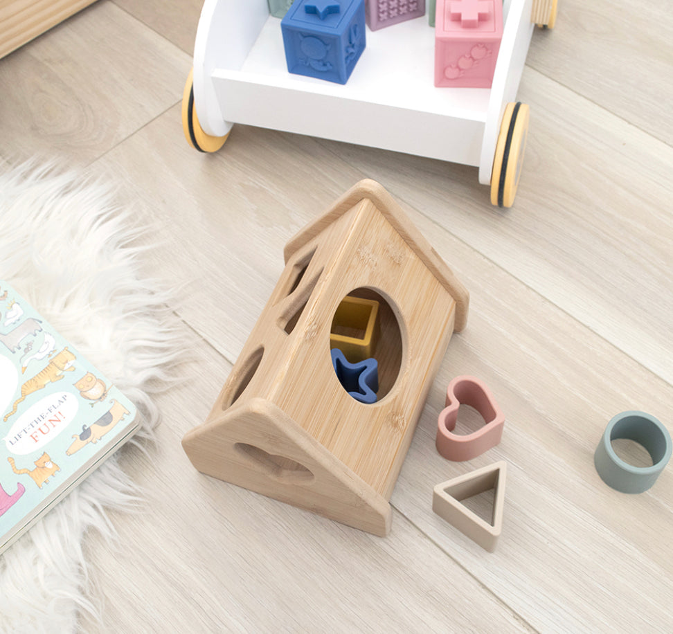House Shape Sorter