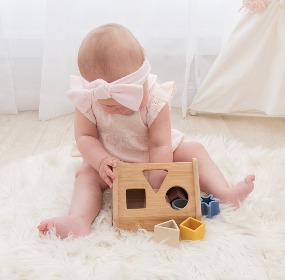 House Shape Sorter