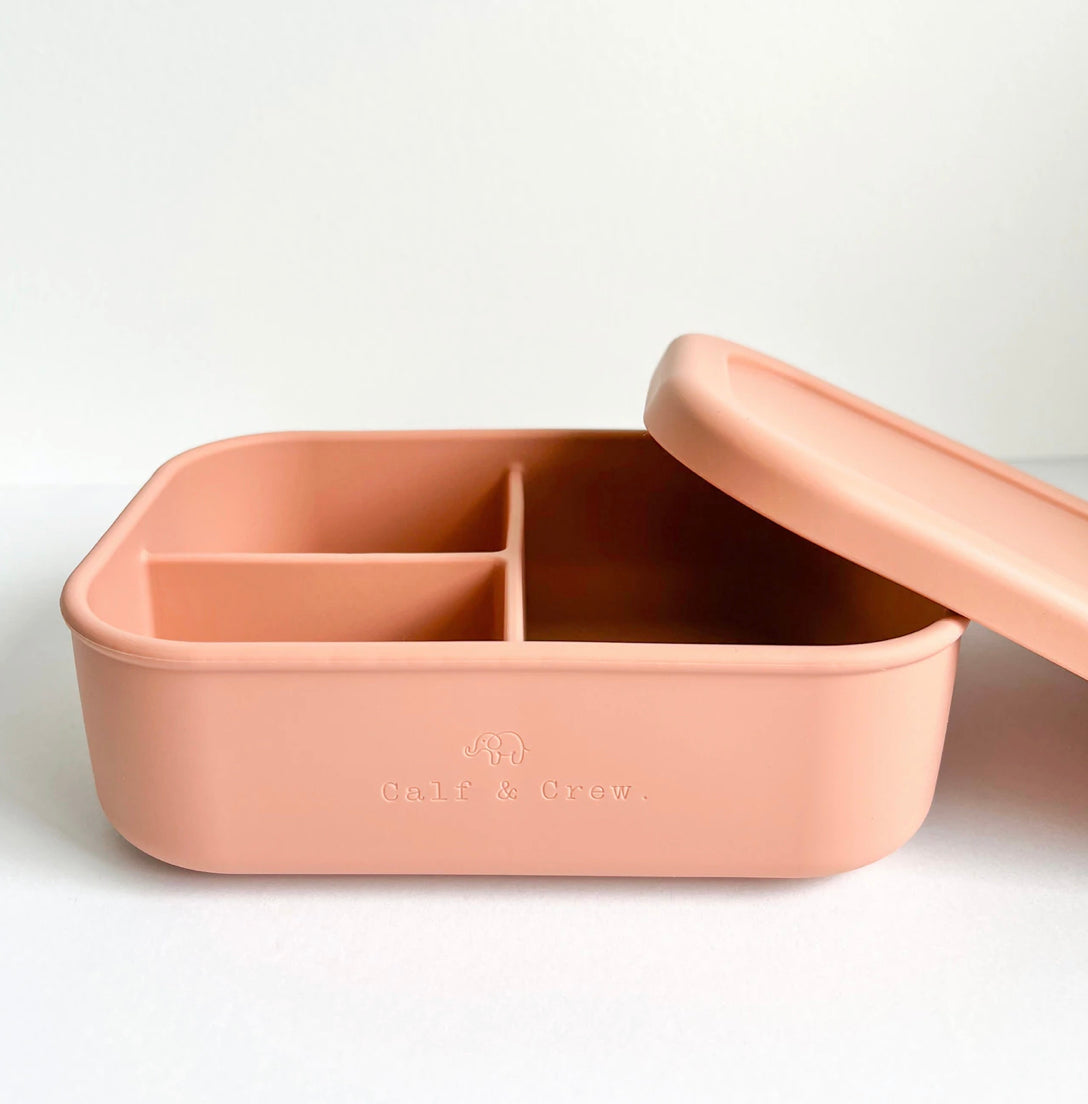 Silicone Bento Box (4 colour options)