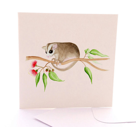 Baby Possum
