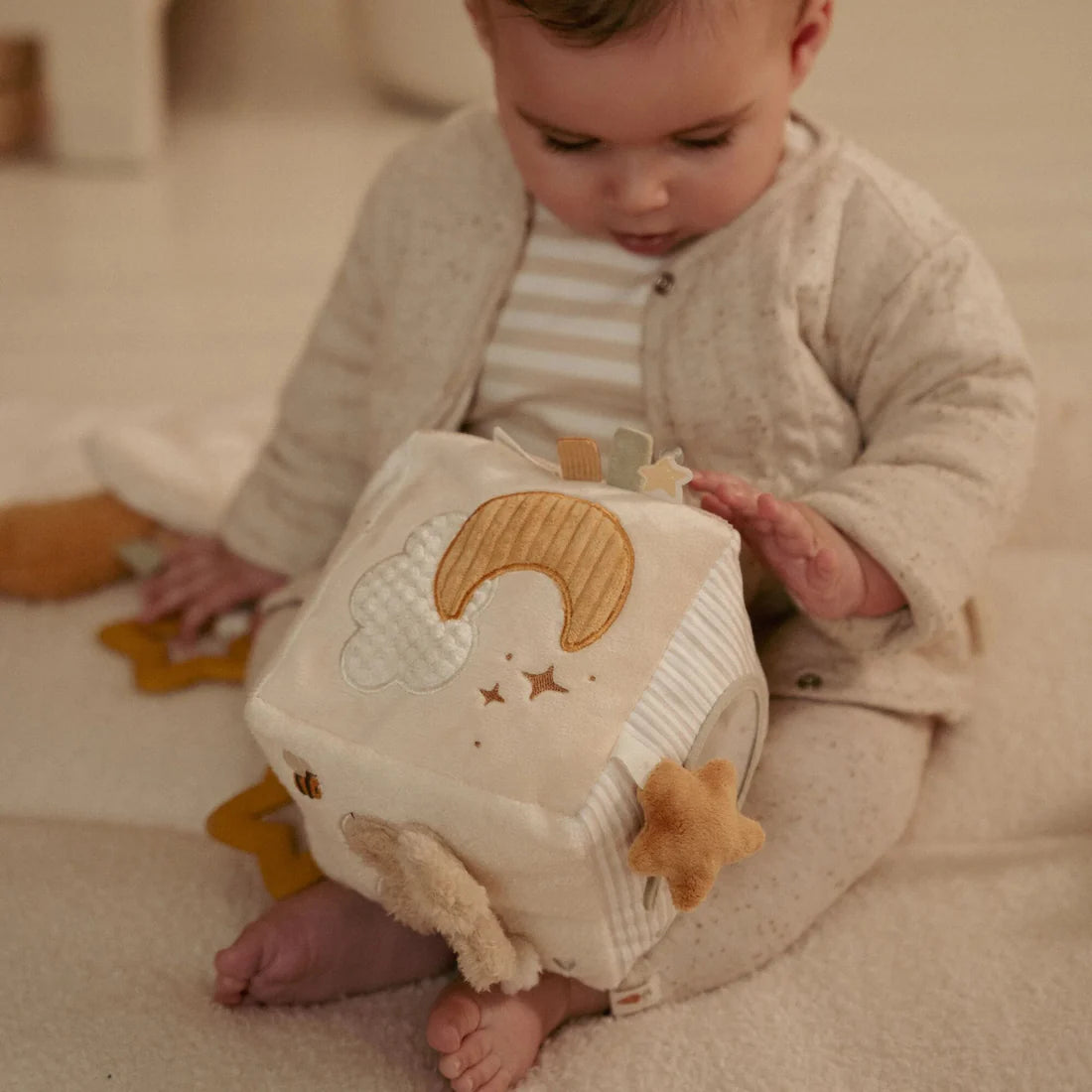 Activity Cube - Goose