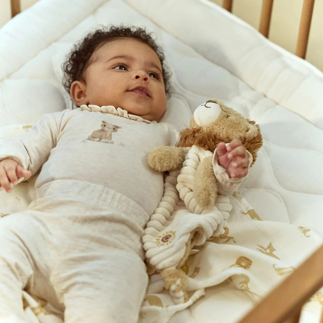 Cuddle Cloth - Lion