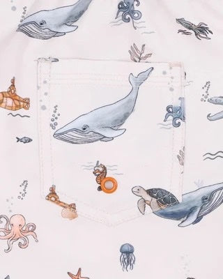 Harvey Boardshorts