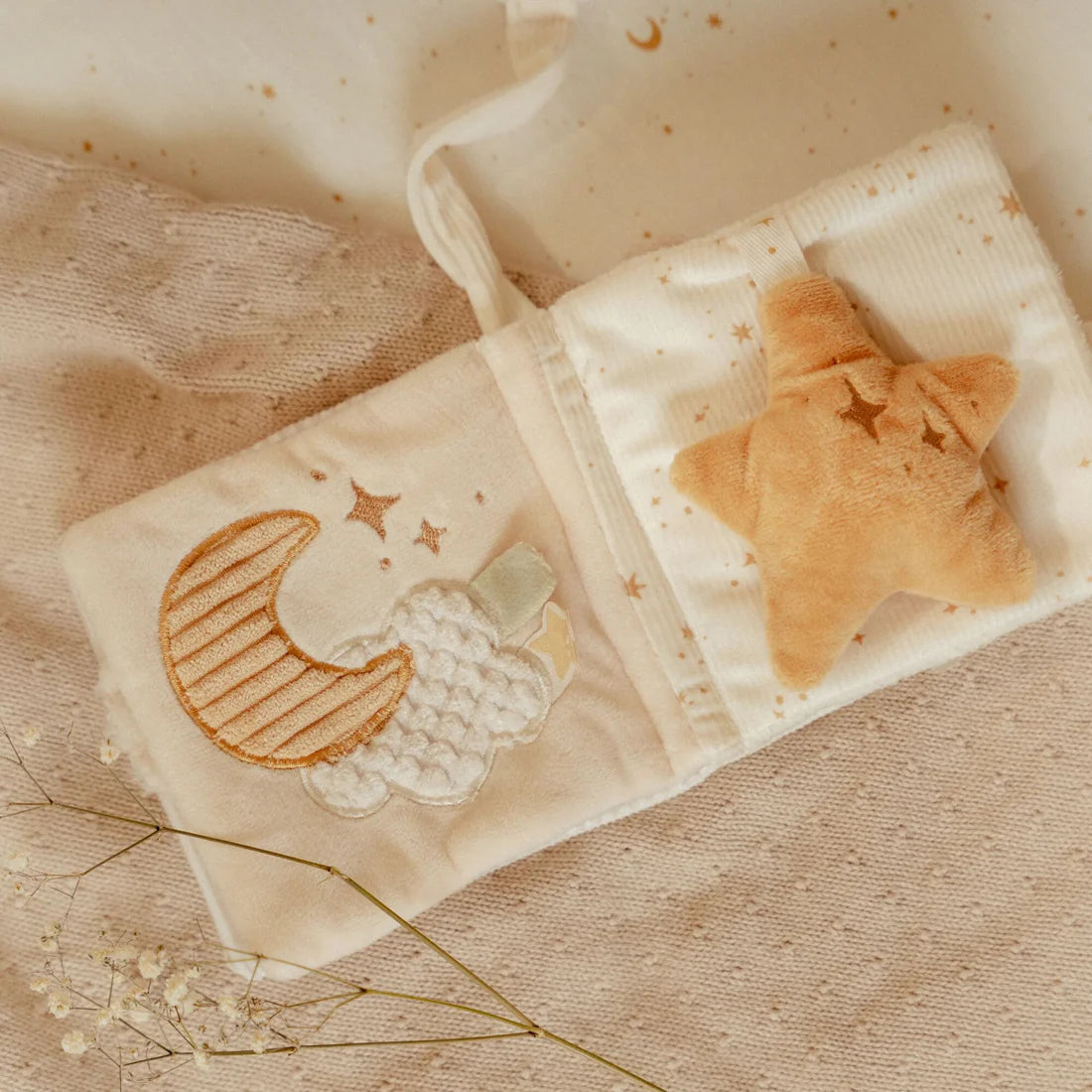 Stroller Book - Little Goose
