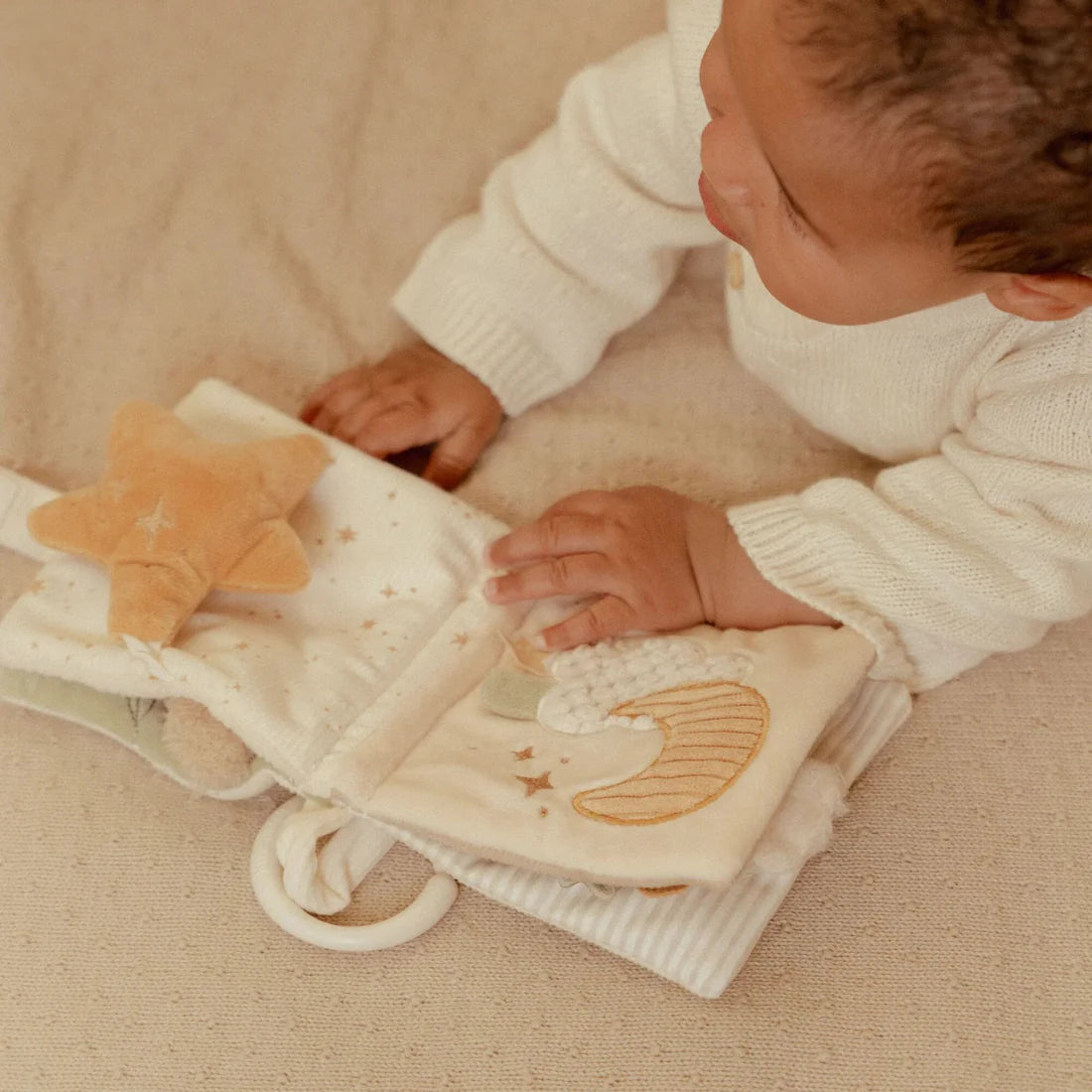 Stroller Book - Little Goose