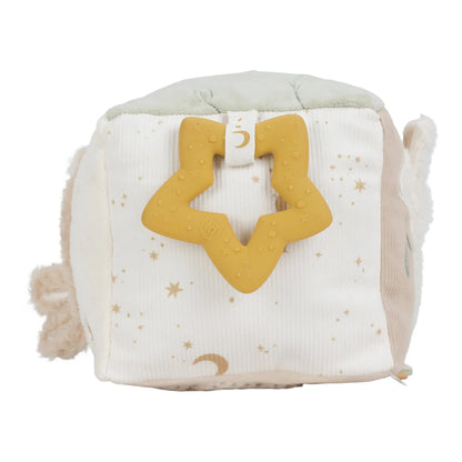 Activity Cube - Goose