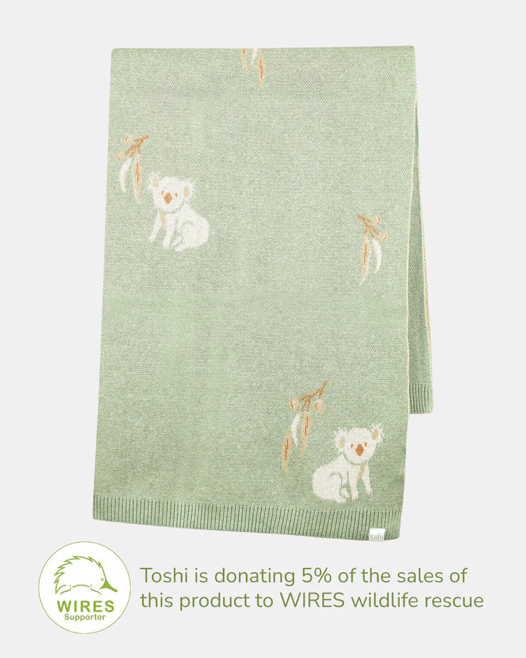 Organic Baby Blanket - Koala
