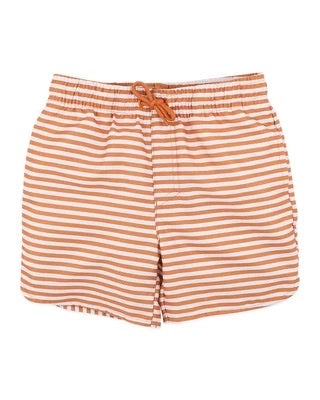 Harvey Stripe Boardshorts