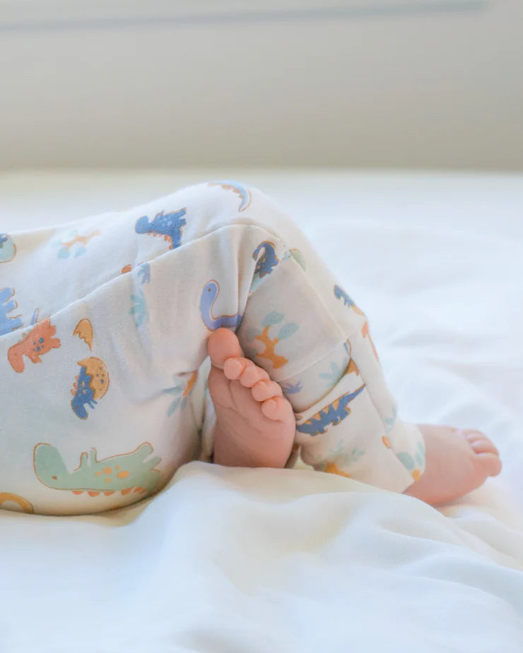 Zip Onesie - Dino Bubs