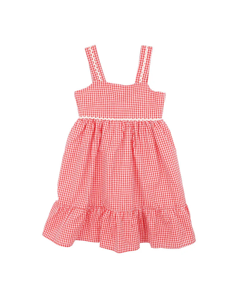 Festive Gingham Dress