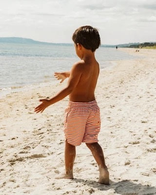 Harvey Stripe Boardshorts
