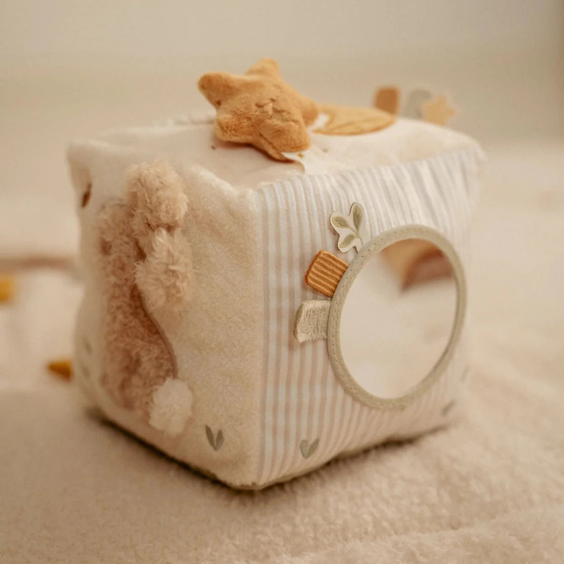 Activity Cube - Goose