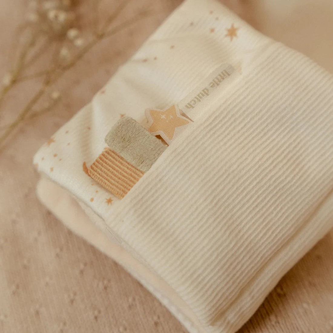 Stroller Book - Little Goose