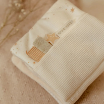 Stroller Book - Little Goose