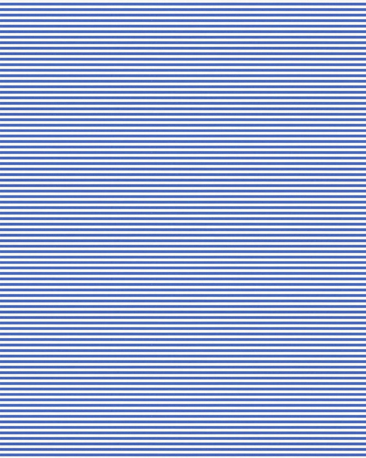 Flap Cap - Blue