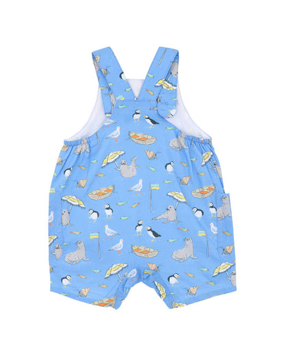 Conway Resort Overalls