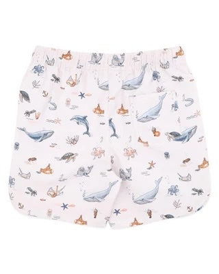 Harvey Boardshorts