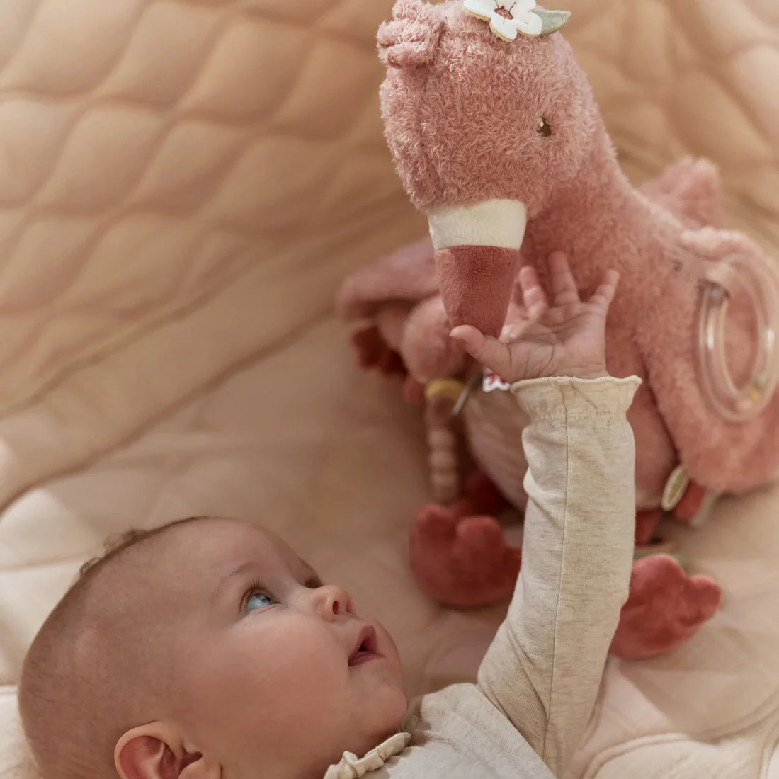 Activity Cuddle - Flamingo