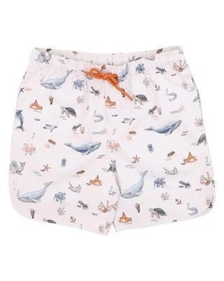 Harvey Boardshorts