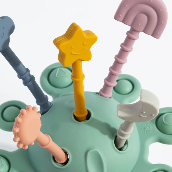 Zippy Activity Toy -  Sage