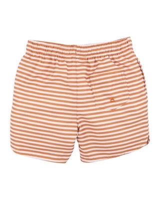 Harvey Stripe Boardshorts