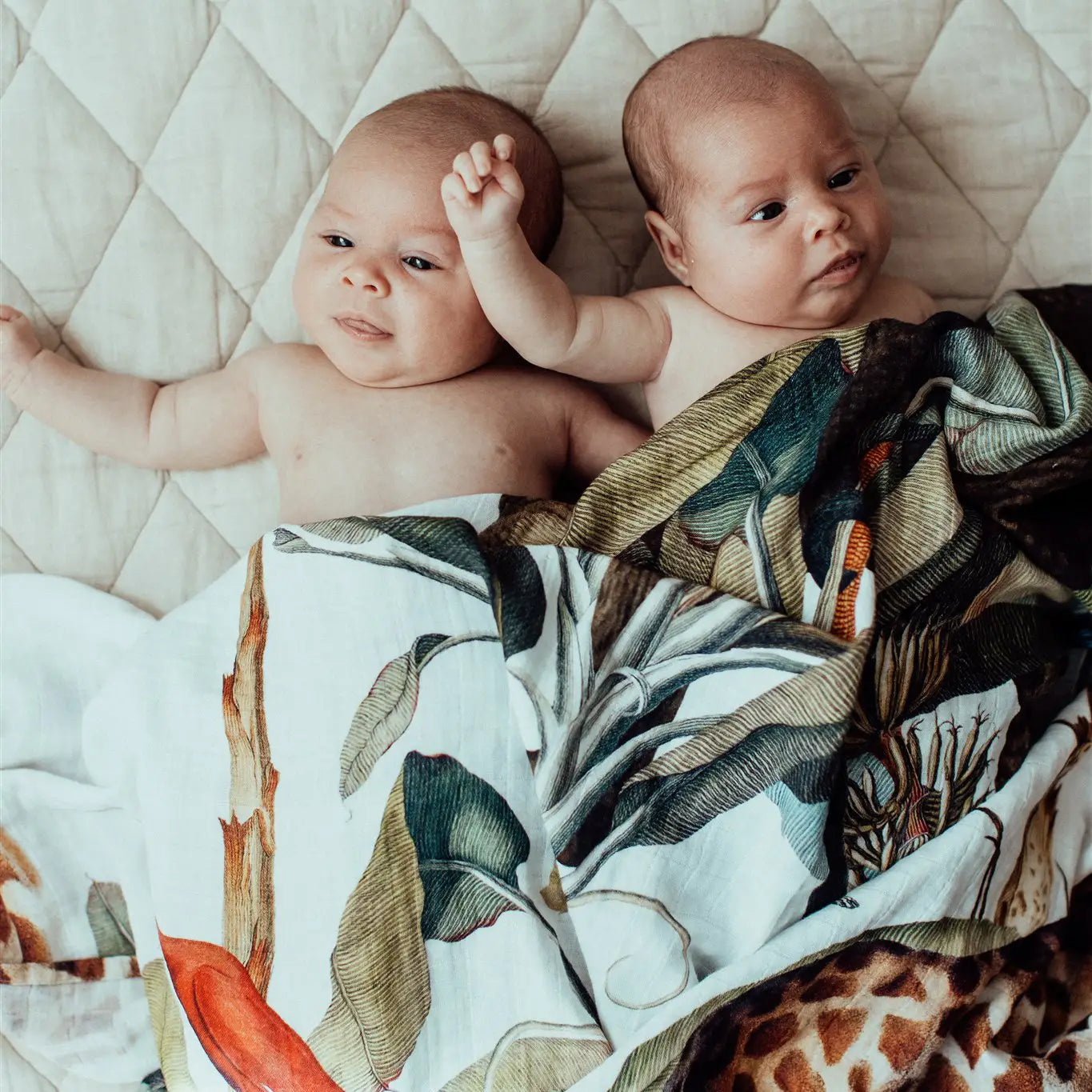 Wild One Muslin Swaddle