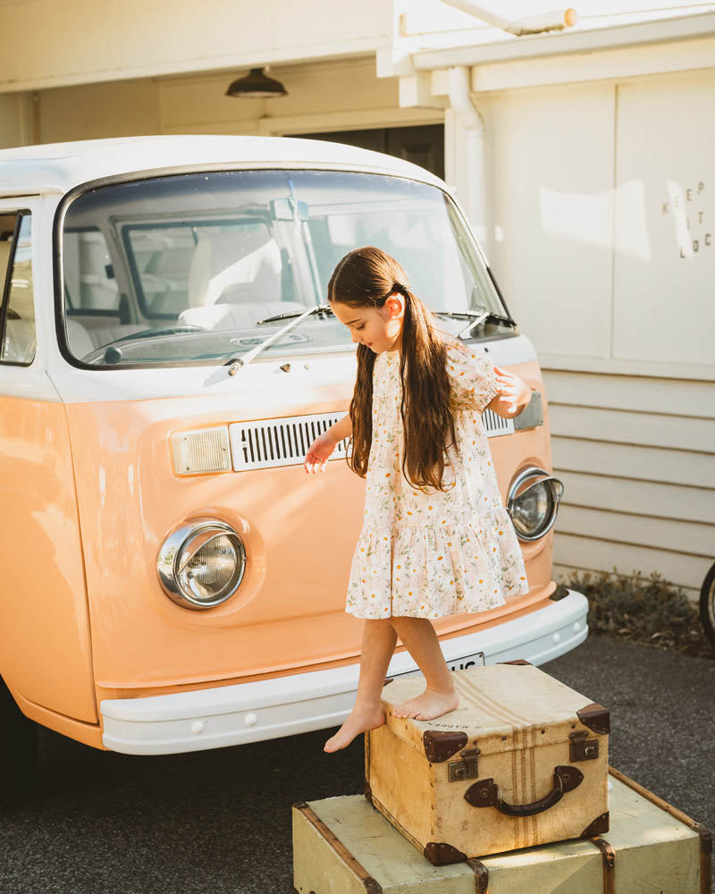 Tess Print Dress