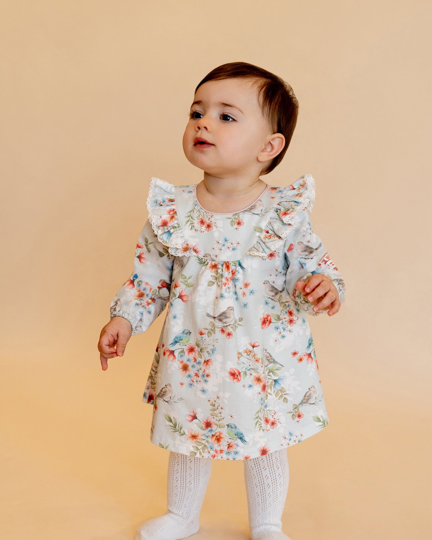 Gemma Bird Print Overlay Dress