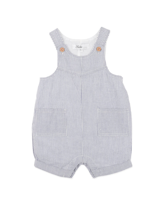 Brady Stripe Woven Overalls