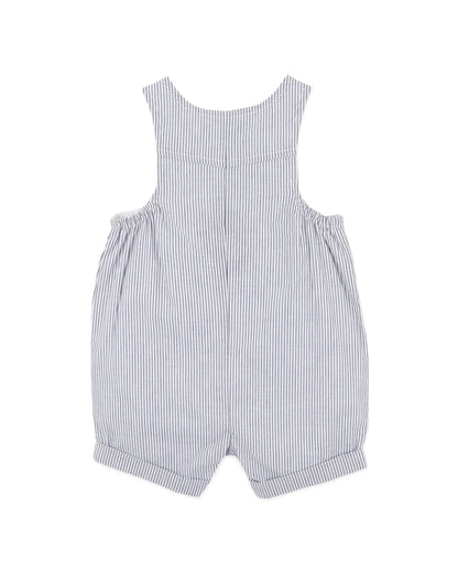 Brady Stripe Woven Overalls